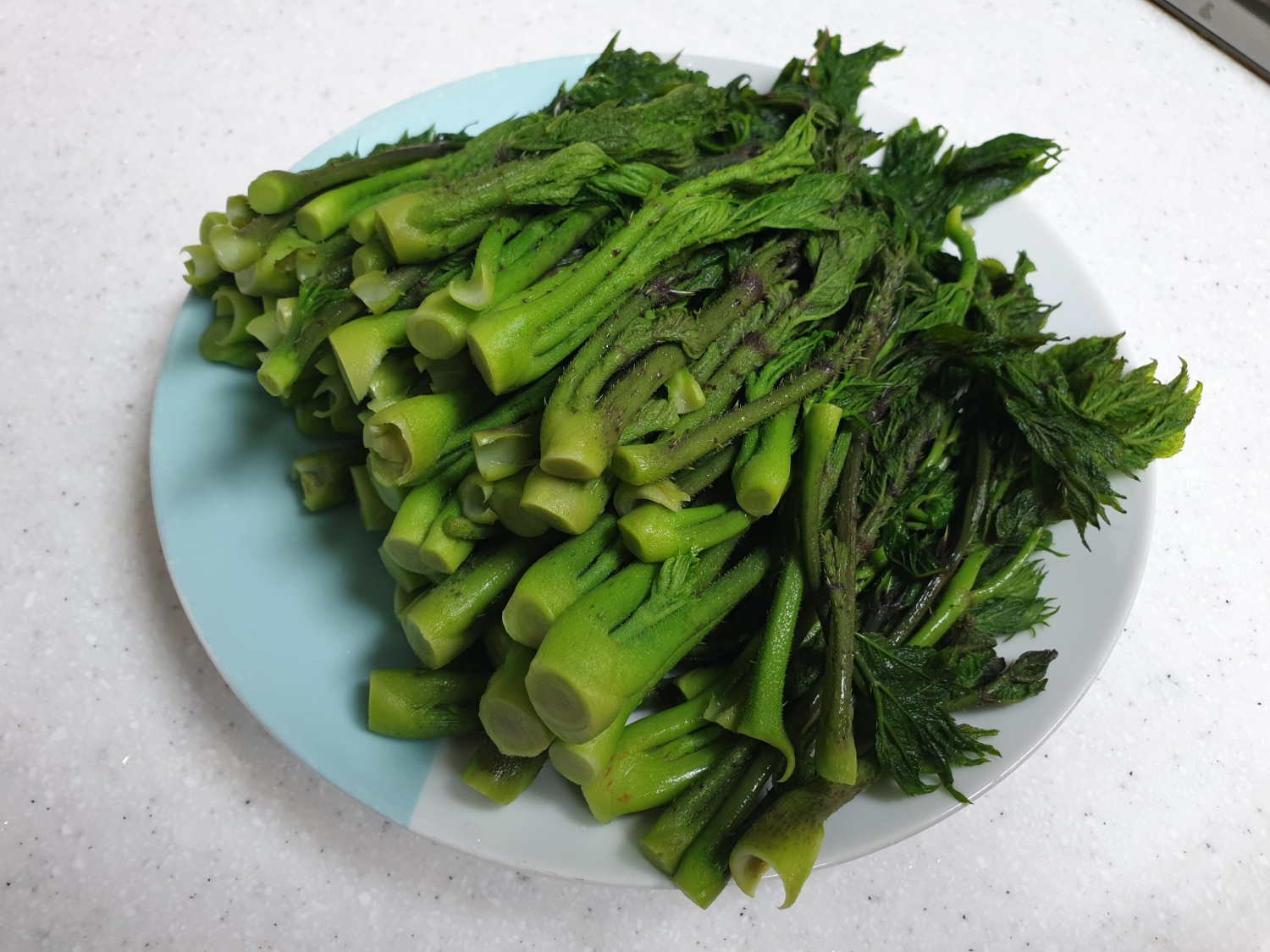 Brotes tiernos de Aralia Elata escaldados con salsa Gochujang