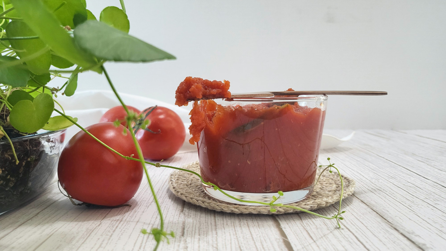 Homemade Tomato Paste